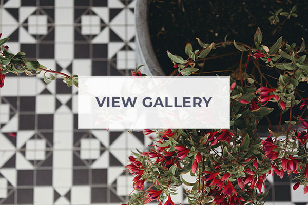 pot plant on black and white tiles, text directing to photo gallery